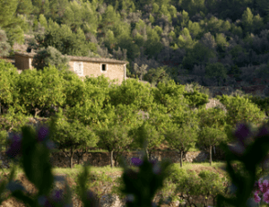 Can Ribera Sierra de Tramuntana