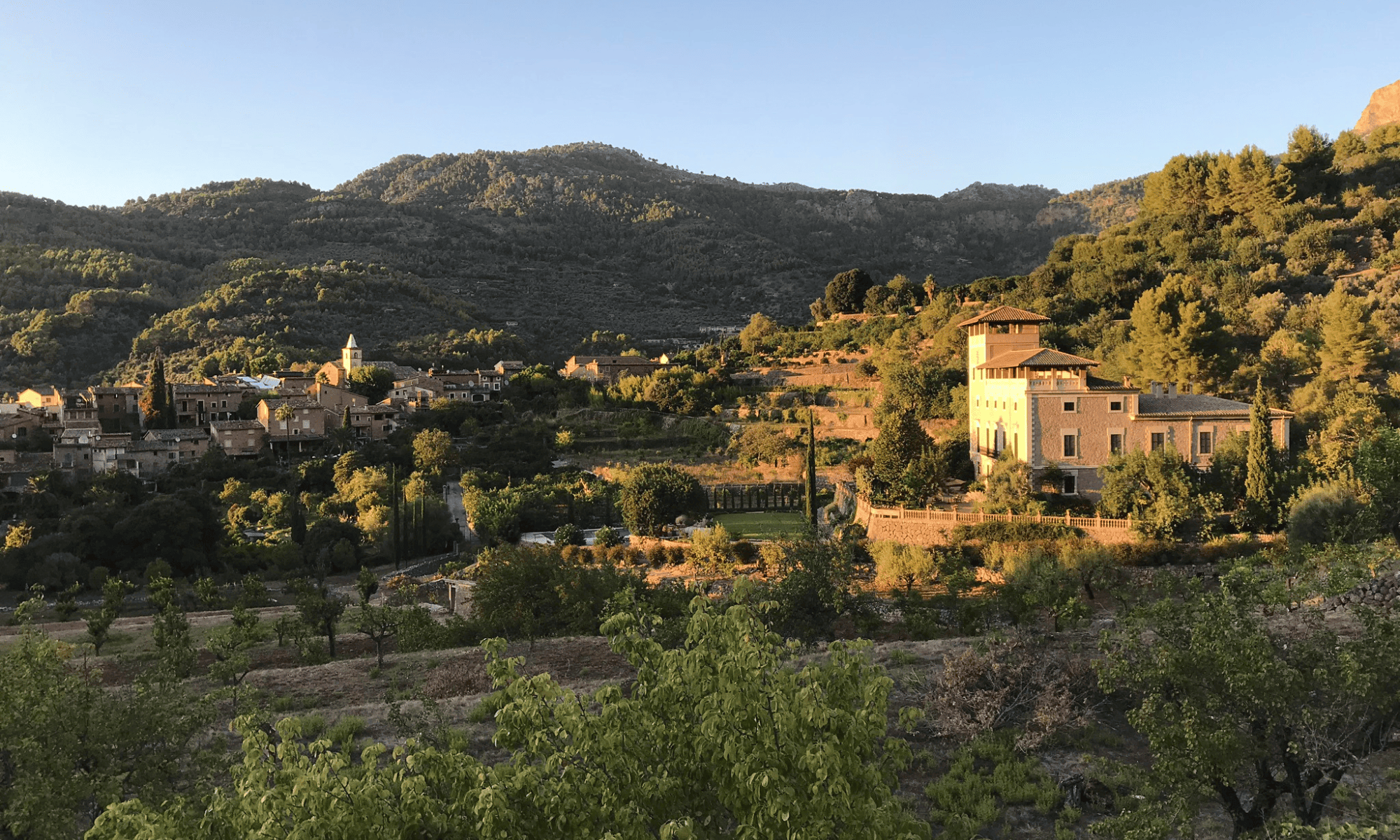 Vistas desde el huerto