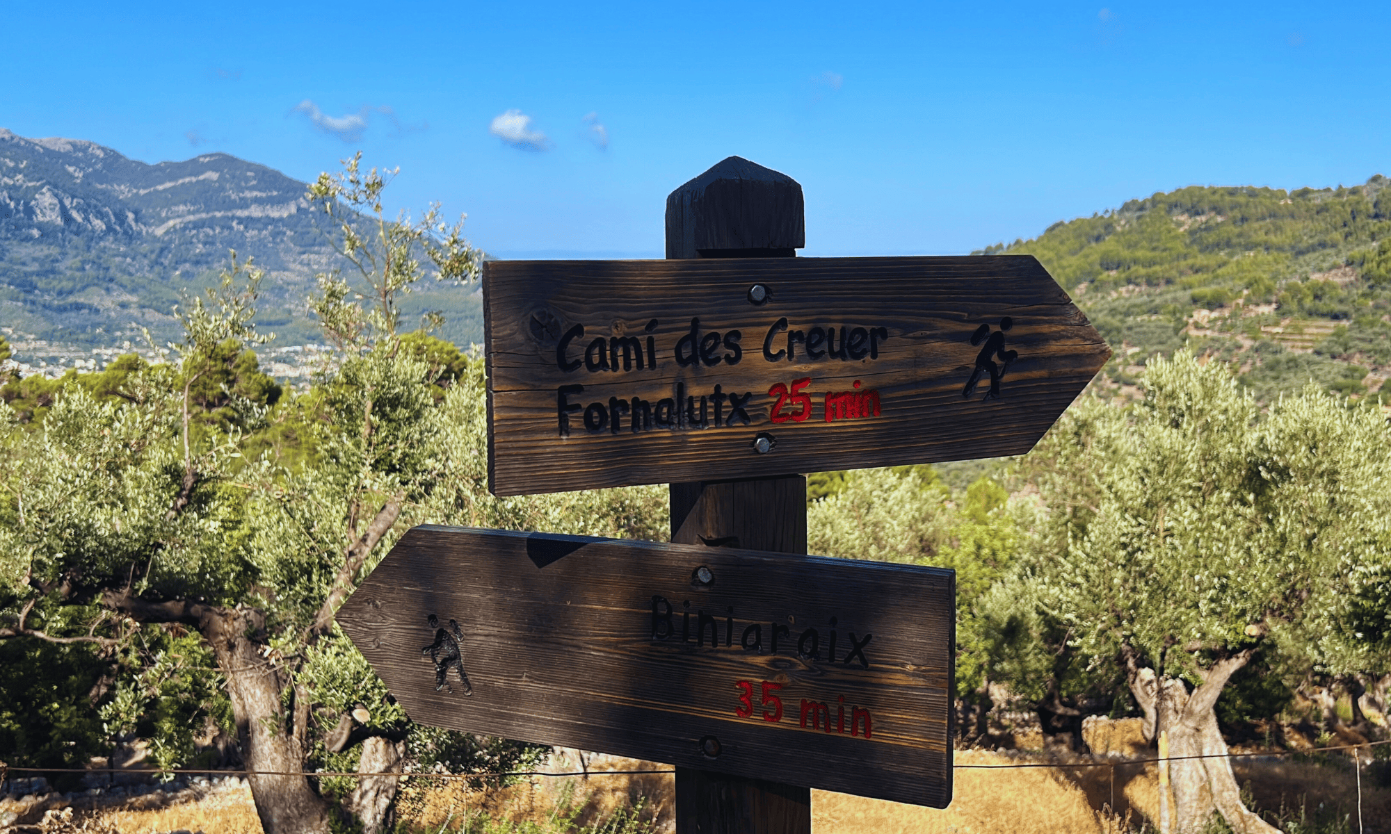 Excursiones can Ribera