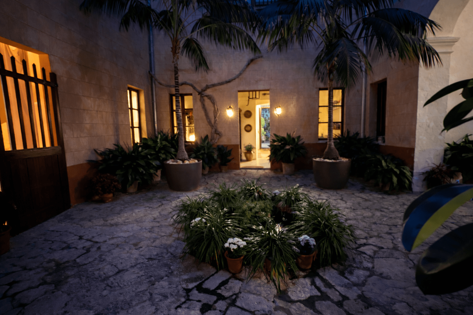 ChatGPT Image 30 ene 2026, 13_16_57