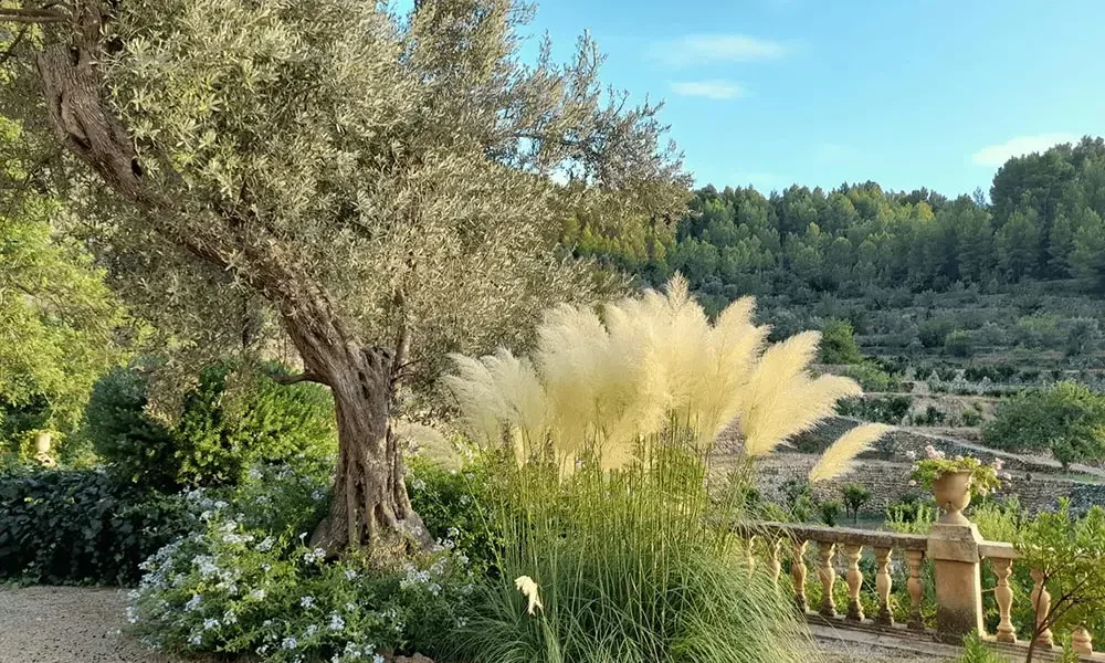 can-ribera-detalle-jardin-02