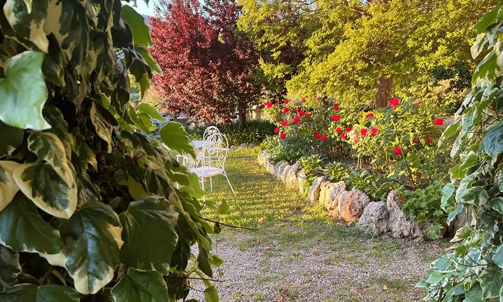 can-ribera-detalle-jardin