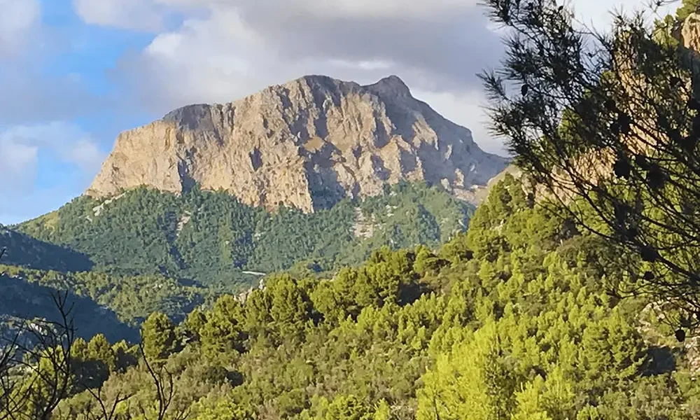 can-ribra-vista-puig-major